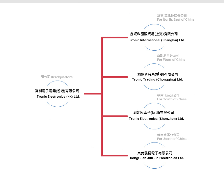 Structure of Company